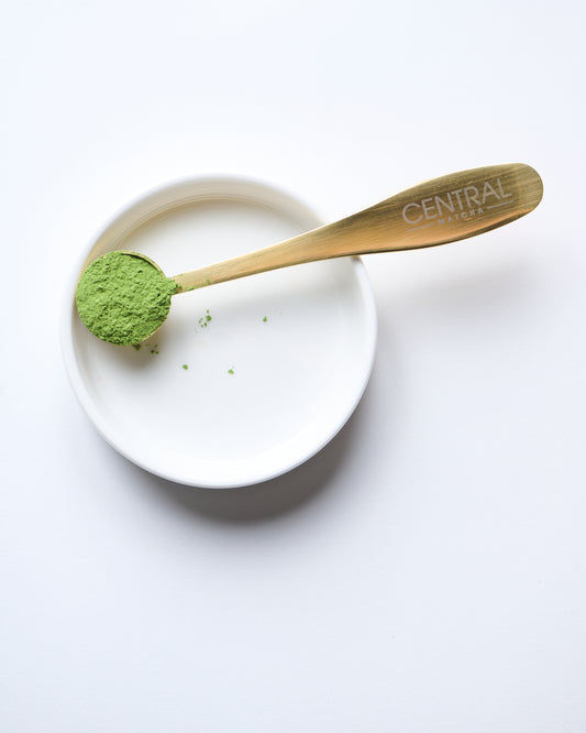 Matcha Measuring Spoon (2 grams)